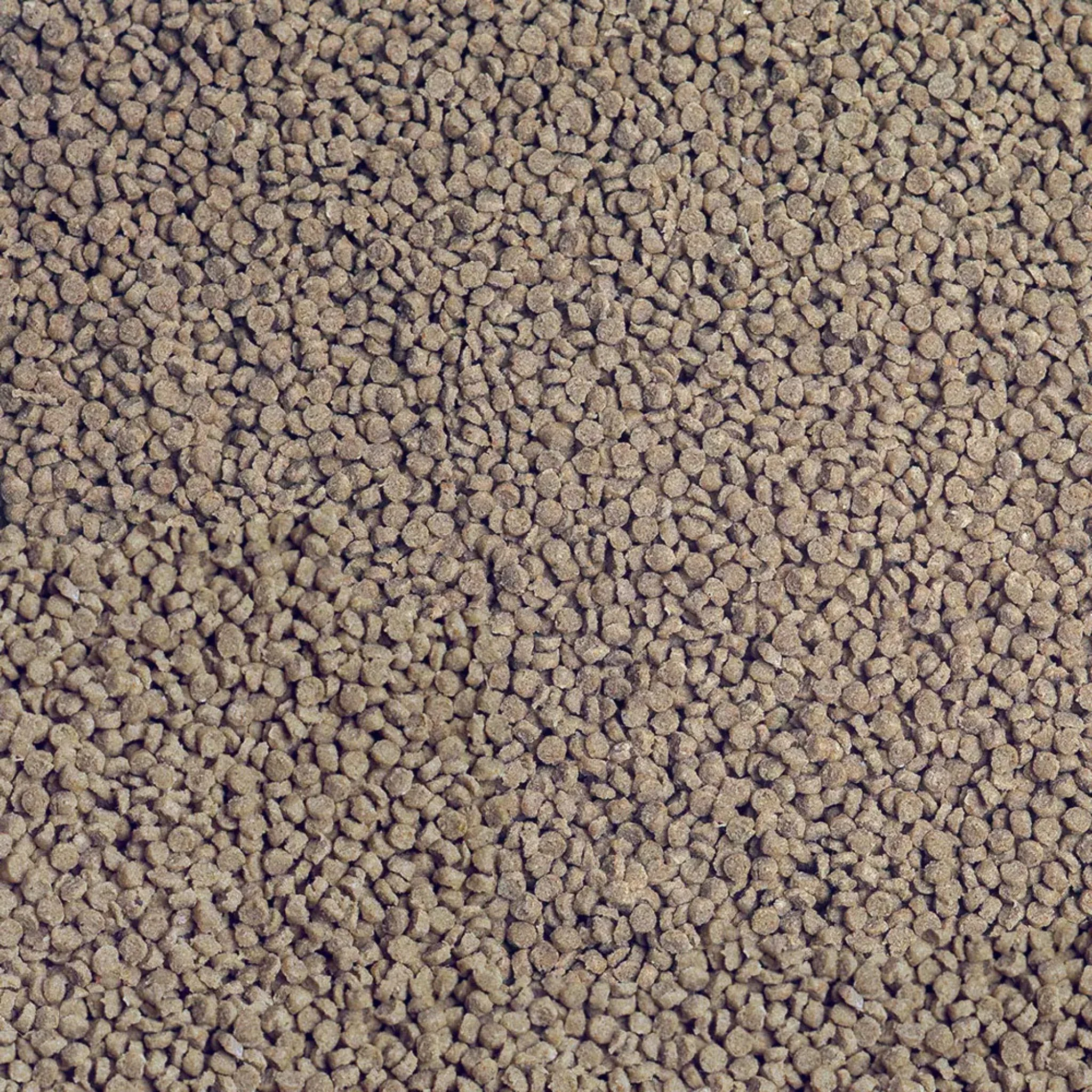 Sera Granured Nature Fish Food Volume - 250ml - Image 3